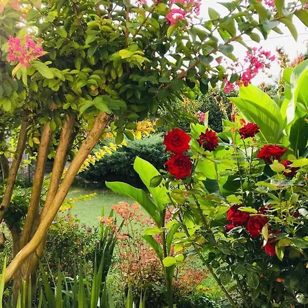 Au Boom Coeur Forfait Spa, Diner & Petit-dejeuner Inclus