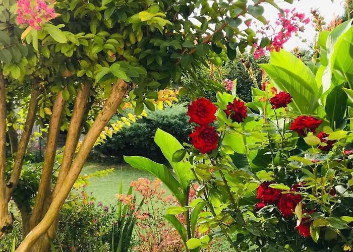 Au Boom Coeur Forfait Spa, Dîner&petit-déjeuner Inclus